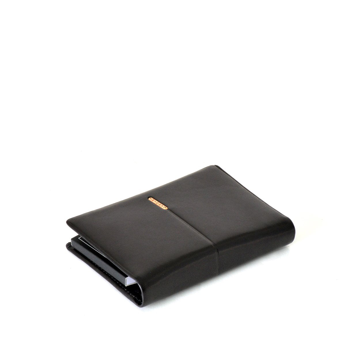 RENATO LANDINI Wallet w/ Notepad/ Descent